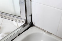 Экспертиза причин появления плесени 